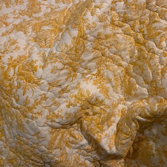 French Toile Cotton King Figural Bedspread. No label on it. - Picture 10 of 10